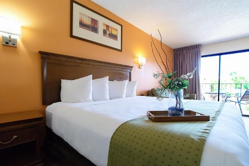 Travelodge by Wyndham Tucson Airport image 7